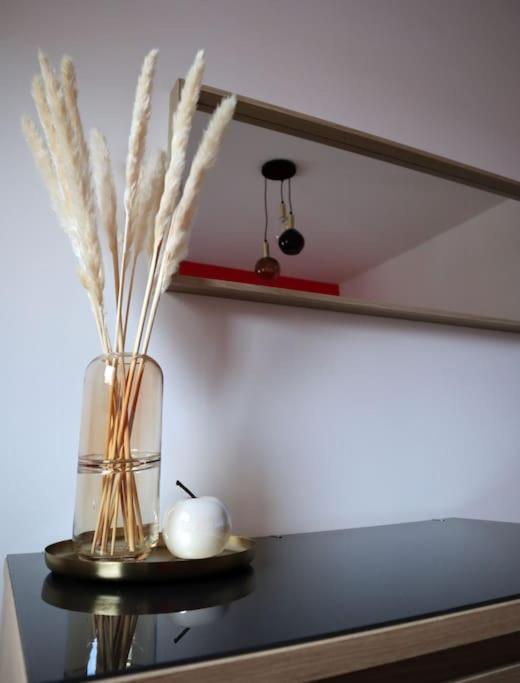 Superbe Duplex En Hypercentre Ville 阿棉 外观 照片